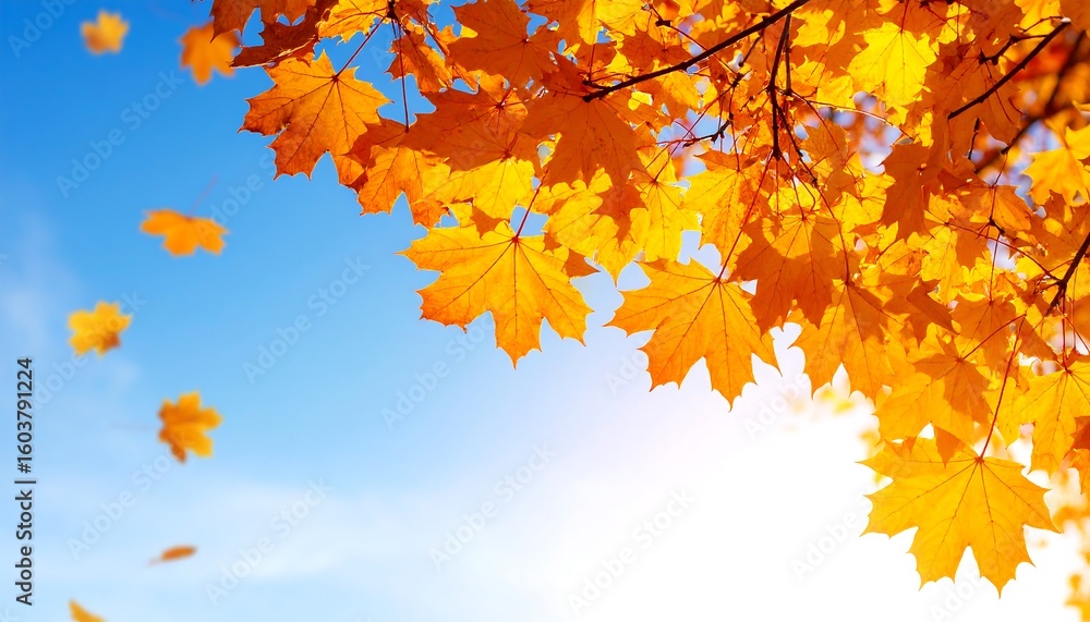 Autumn leaves against a vibrant blue sky Autumn leaves against a vibrant blue sky