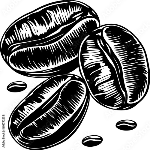 coffee bean (linocut style)