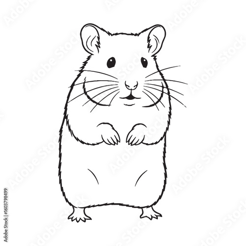 Vast Hamster Ancient Aura Ambit - Hamster vector - Hamster Line art - Hamster Drawing - Vector Lineart of Hamster - hamster icon - outline of hamster

