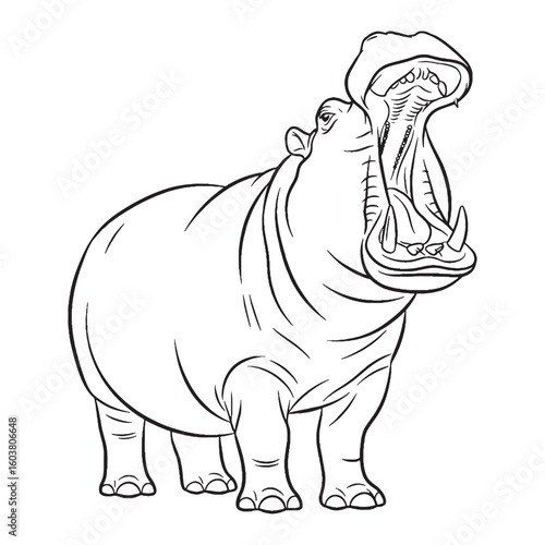 Hardy Hippo Terrestrial Form Outline - Hippo vector - Hippo Line art - Hippo Drawing - Vector Lineart of Hippo - Hippo icon - drawing of hippo

