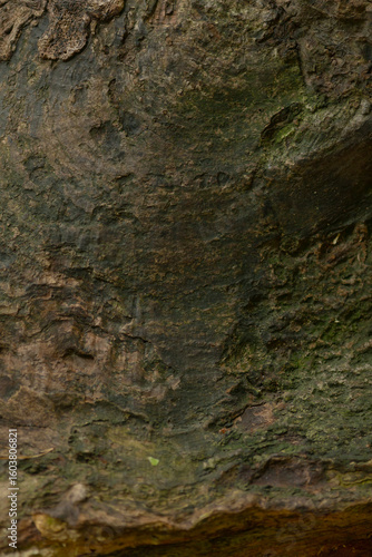 This is a closeup view of a rock that has moss growing on its surface, showcasing how nature beautifully interacts with geological formations