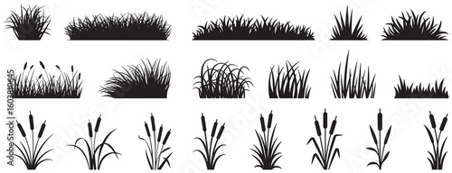 Black silhouettes of various grass and cattail plants on white background bulrush reeds