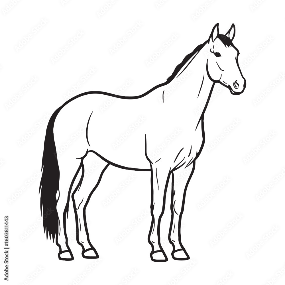 Fototapeta premium Full Horse Essential Nature Glimpse - Horse vector - Horse Line art - Horse Drawing - Vector Lineart of Horse - Horse illustration - vector of horse