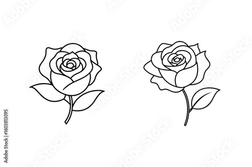 Two black outlines of roses flower black and white