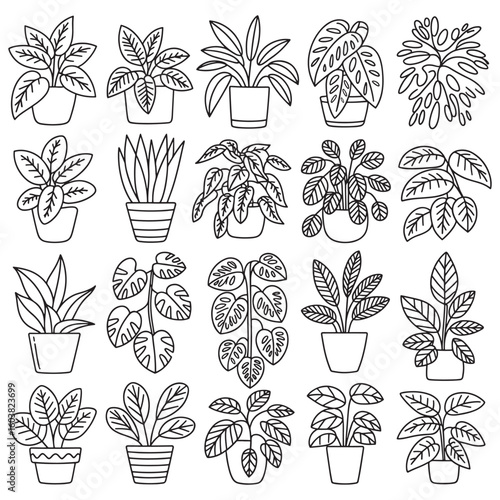 Collection of potted houseplant line drawings in various styles potted plants houseplants