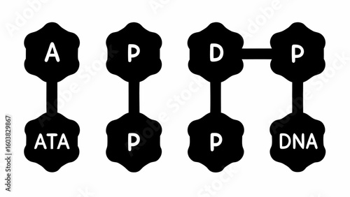 Illustration of a diagram showing a sequence of ata p d and dna connected by lines in a black and white color scheme