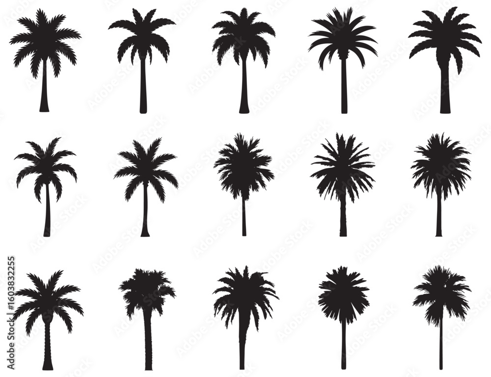 Obraz premium Collection of fifteen black palm tree silhouettes on white background vector