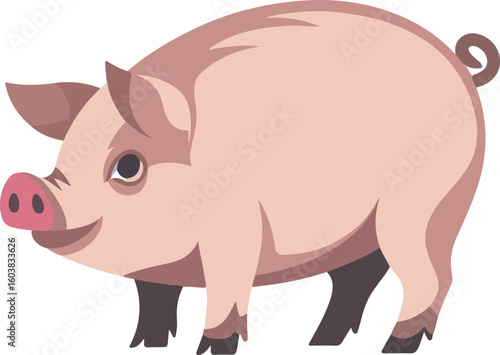 pig animal pig  vector pig  icon