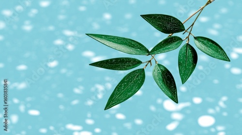Dark green speckled leaves on a branch against a soft blue background with bokeh