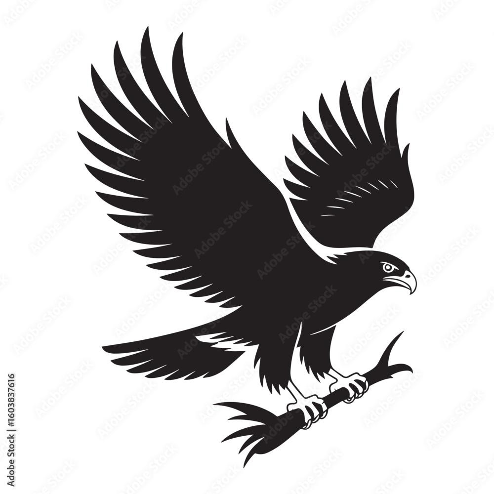 Fototapeta premium Black Eagle Bird Flying Silhouette Vector Illustration