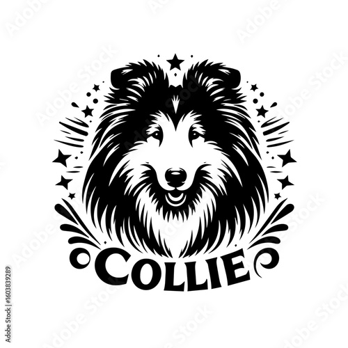 A black and white collie dog portrait with stars and the word collie