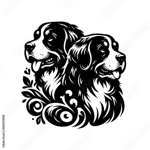 Black and white drawing of two bernese mountain dog heads