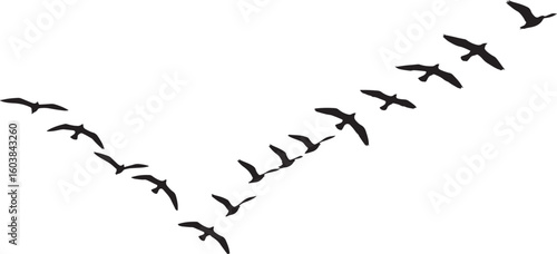 Broken heart vector illustration with a lone bird on a bare branch silhouette symbolizing nature's resilient design against a cracked sky pattern