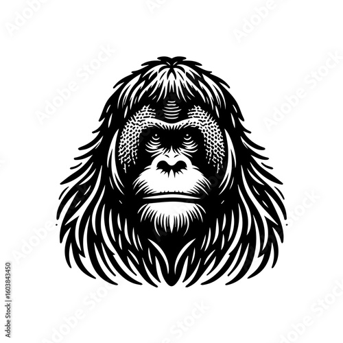 Black and white illustration of an orangutans face in a detailed portrait