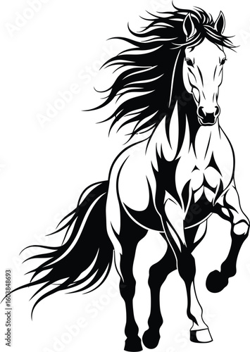 Powerful black and white illustration of a majestic horse rearing up with a flowing mane and tail