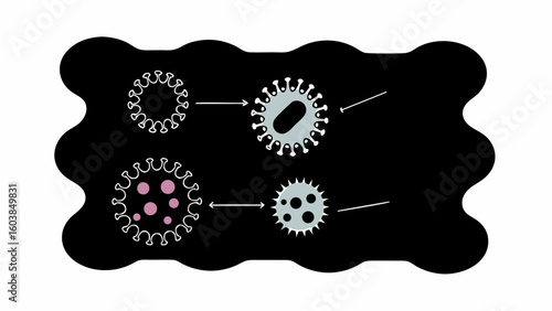 Illustration showing the stages of viral infection and replication process with arrows on a black background