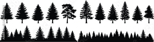 Silhouette of tall evergreen trees in a staggered horizontal row, evoking wilderness, depth, and serenity