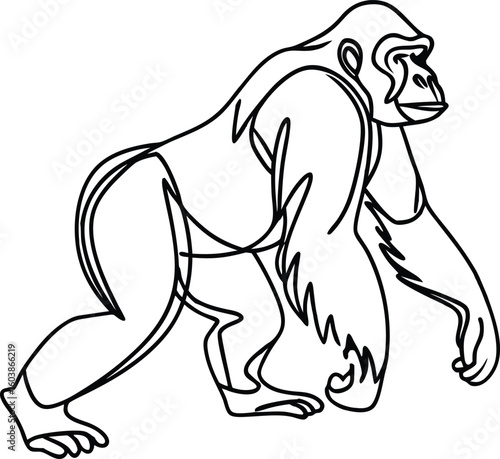 Gorilla walking on all fours black line art primate