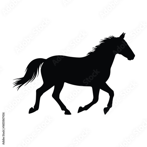 Galloping Horse Silhouette on White Background Equestrian Animal Illustration