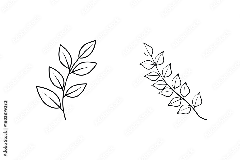 Fototapeta premium Delicate leaf branches line art botanical nature