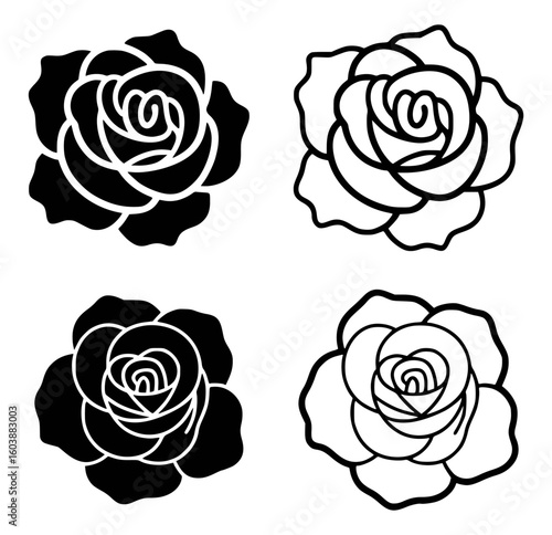 Black and white rose outlines and silhouettes flower bloom