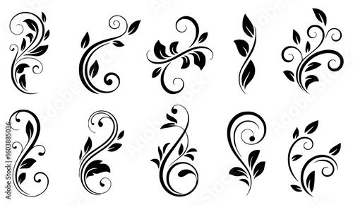 Black floral swirls and leaves decorative