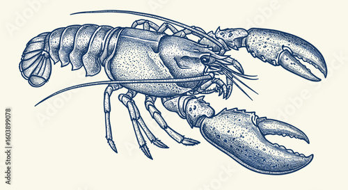 Detailed lobster engraving in vintage style with textured claws and an