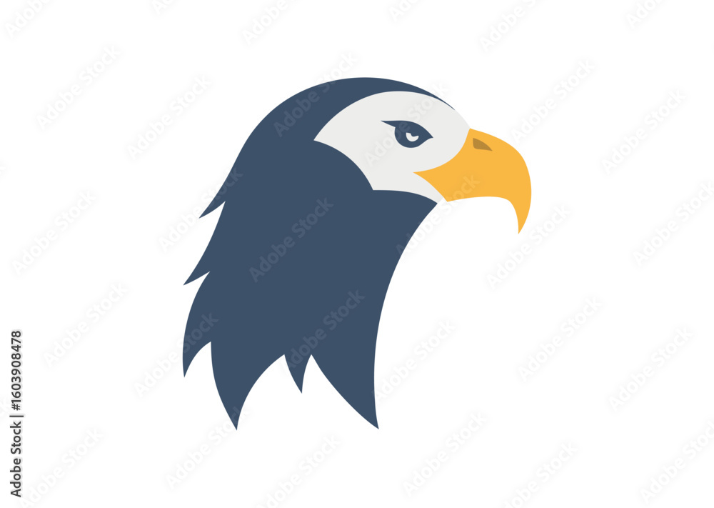 Fototapeta premium Eagle head Vector Illustration
