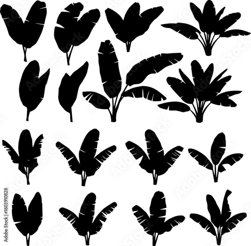 A collection of sixteen stylized black silhouette illustrations of banana plant leaves and banana trees in various sizes and arrangements.
