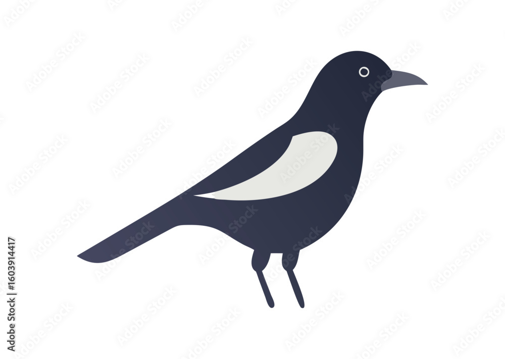 Obraz premium Magpie bird vector illustration