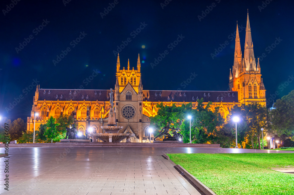 Fototapeta premium St Mary's Cathedral at night in Sydney