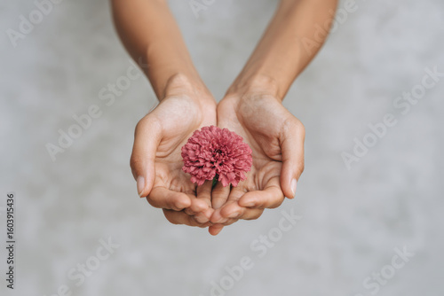 during domestic violence awareness month powerful visual symbolizes support hands gently lifting flower against