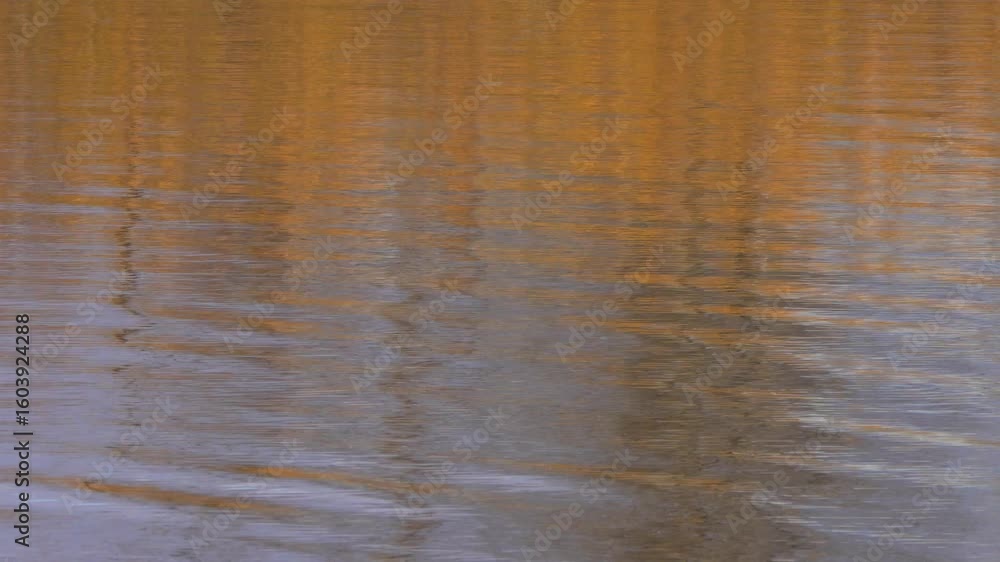Orange glare and reflection on the surface of the wave in the river water. Orange glare and reflection on the surface of the wave in the river water.