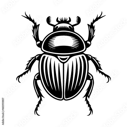 Black and white vector illustration of a dung beetle in a linocut or woodcut style for Nature Enthusiasts and Insect Art Collectors