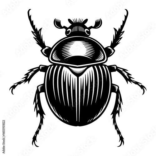 Black and white vector illustration of a dung beetle in a linocut or woodcut style for Nature Enthusiasts and Insect Art Collectors