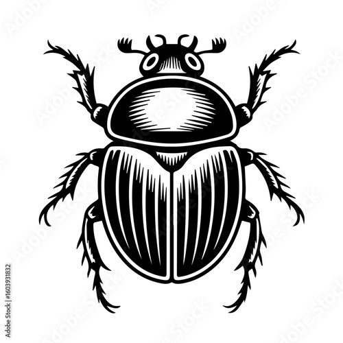 Black and white vector illustration of a dung beetle in a linocut or woodcut style for Nature Enthusiasts and Insect Art Collectors