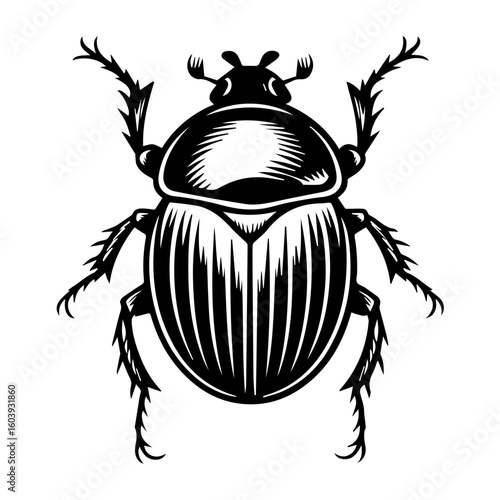 Black and white vector illustration of a dung beetle in a linocut or woodcut style for Nature Enthusiasts and Insect Art Collectors