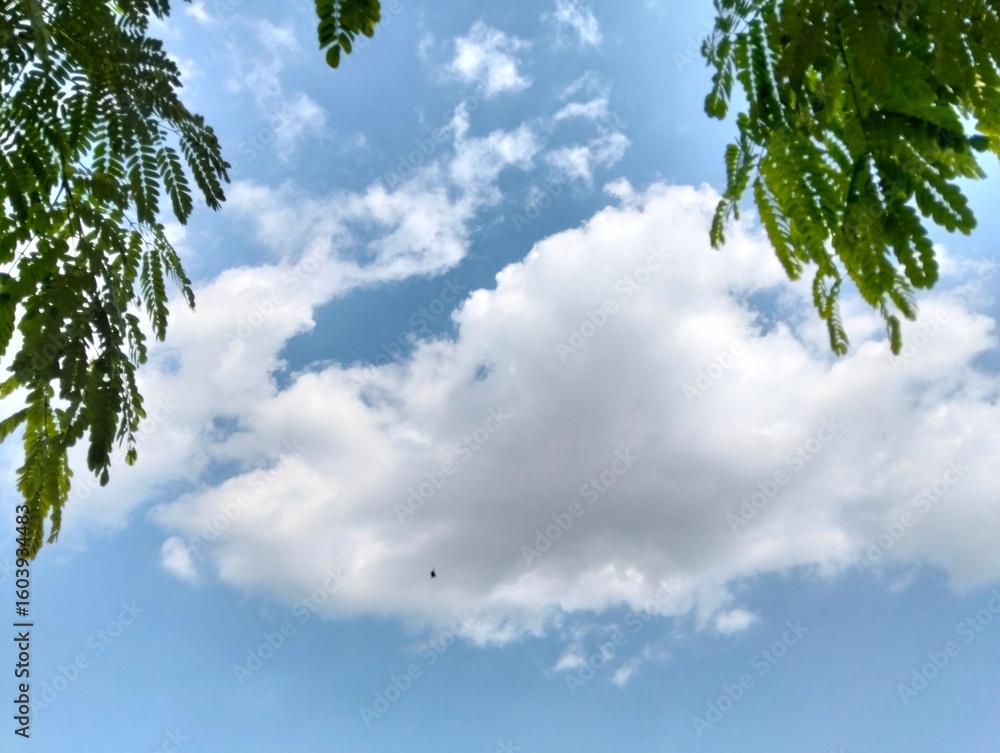 Obraz premium sky and clouds