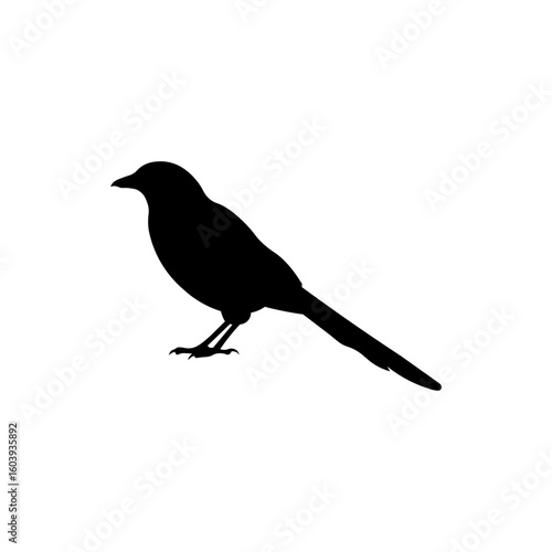 Magpie bird silhouette vector flat design on white background.