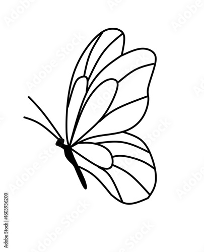 A minimalist line drawing of a butterfly viewed from the side, showcasing detailed and elegant wing patterns. The design captures the delicate and graceful nature of butterflies, symbolizing transform