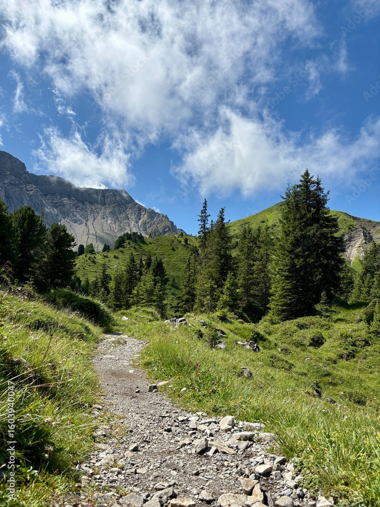 Fototapeta premium Landschaft in den Bergen - Bergwanderung