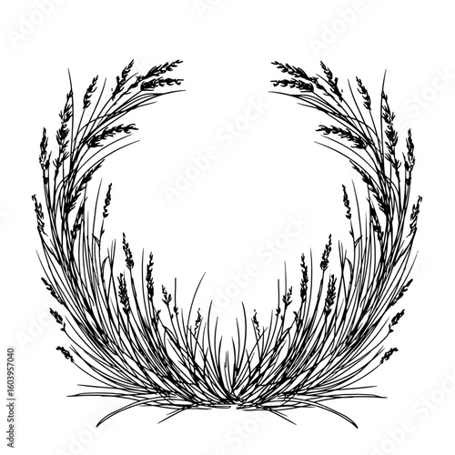A wreath of wild grasses and sedges, silhouetted black and white sketch. Vector illustration. Dry twigs and foliage, round frame, isolated on a white background. For birthday, wedding, textile decor
