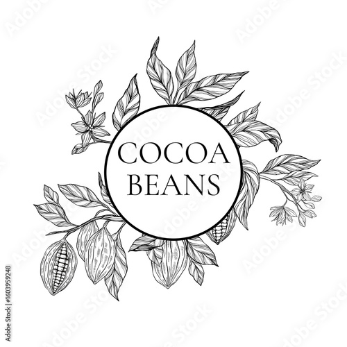 Cocoa plant set, clipart, collection of coca plant illustrations, herbs, botanical banner copy space, plant branch, leaves, flowers. Floral design for chocolate, cacao, healthy food, sweet, tasty