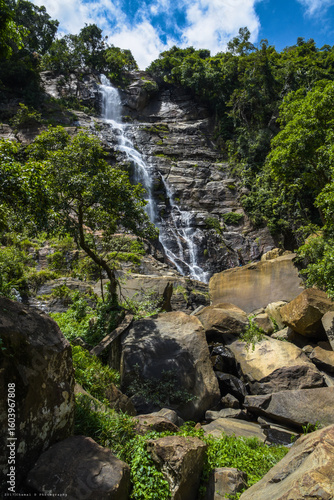 waterfall in the forest