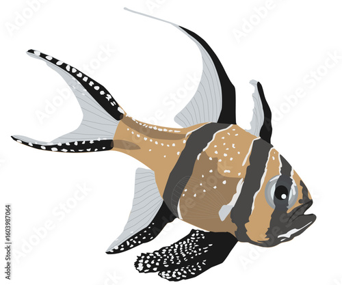 Banggai cardinalfish isolated on white background, profile view. Pterapogon kauderni tropical fish cutout icon, side view. Striped small exotic saltwater fish, vector flat design eps 10