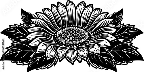 A detailed black and white sunflower illustration with leaves and intricate center design element present