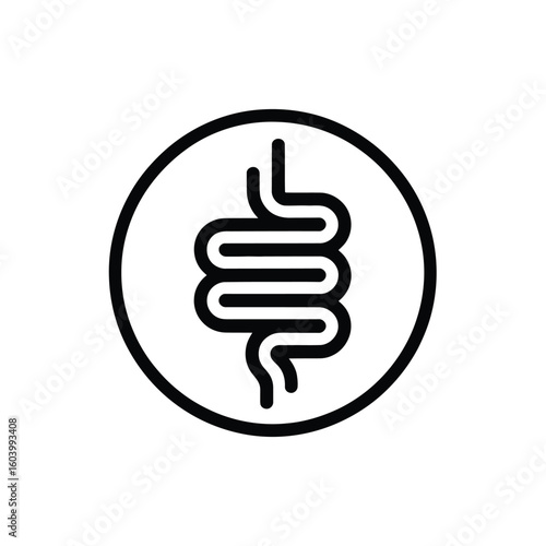 Human Intestine Inside a Circle Medical Organ Icon Digestive System Health and Wellness