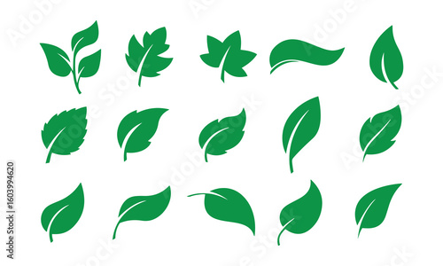Botanical Leaf Icon Set. Green Vector Silhouettes for Eco-Friendly, Nature & Organic Design.