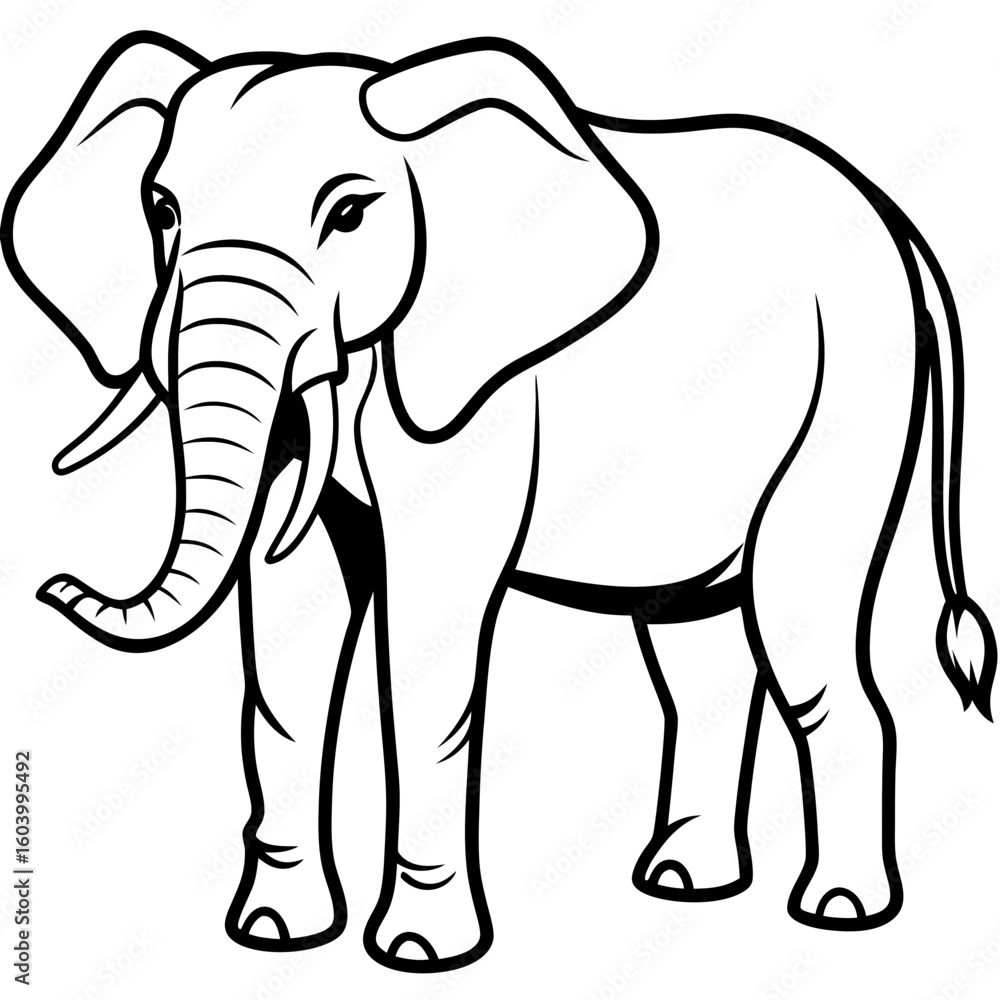 Fototapeta premium Elephants vector