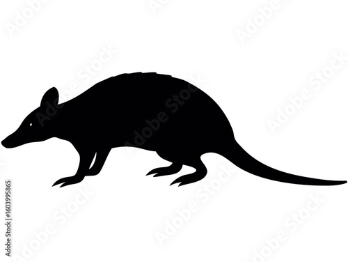 Silhouette of a bandicoot with pointy nose and tail standing on four legs isolated on white background created with generated ai